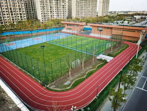 匯聚體育力量,共筑健康青浦——青浦區(qū)全民健身體育組織年度工作盤點(diǎn)